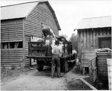 Harmony Community, Putnam County, Georgia. All dairymen belong to the local cooperative in Eatonton . . . - NARA - 521313