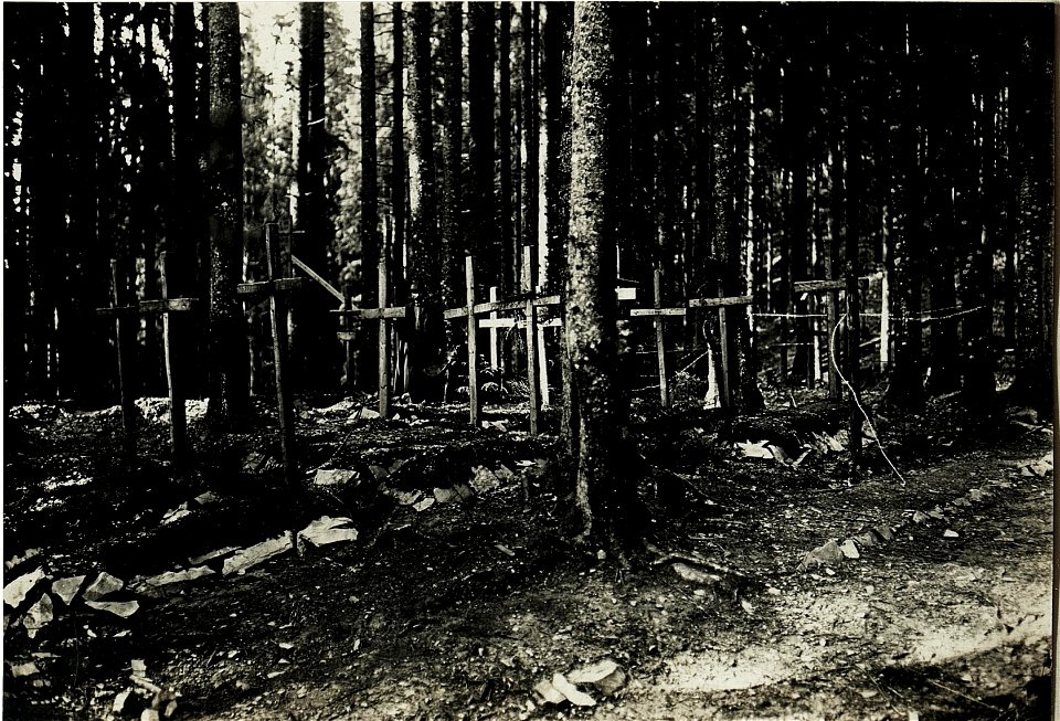 Makowka.Heldenfriedhof im walde. (BildID 15433582)