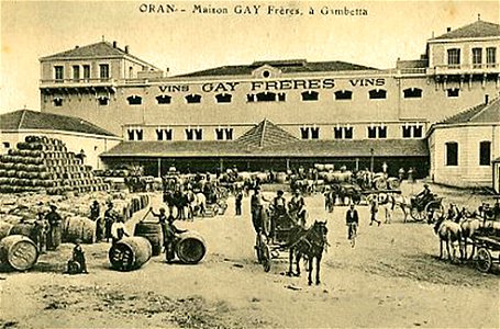 Maison Gay Frères à Gambetta Oran