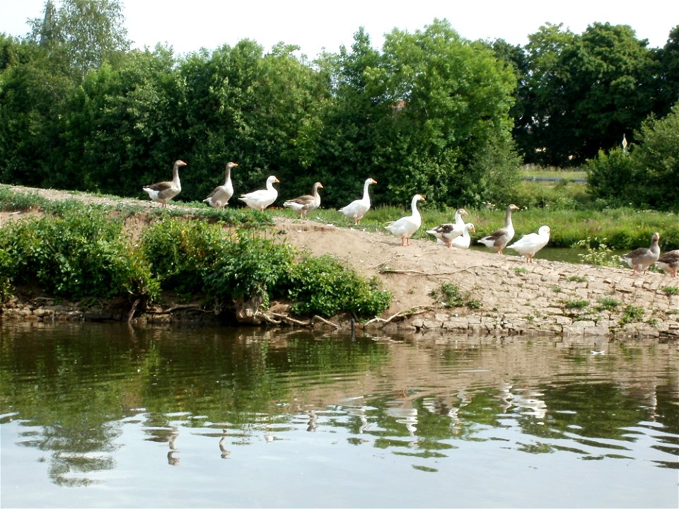 20110519Guedinger_Schleuse8
