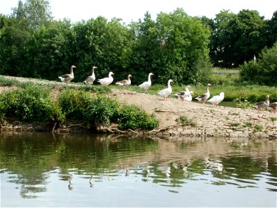 20110519Guedinger_Schleuse8