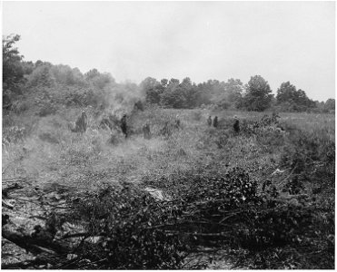 Harmony Community, Putnam County, Georgia....These are (African-American) CCC boys working in a fiel . . . - NARA - 521320 photo