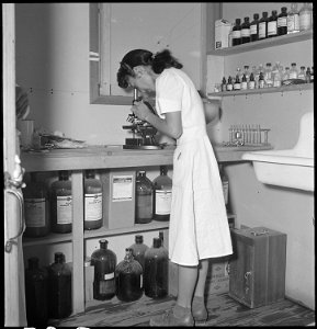 Manzanar Relocation Center, Manzanar, California. Mary Uyesato, trained laboratory assistant at wor . . . - NARA - 538141 photo