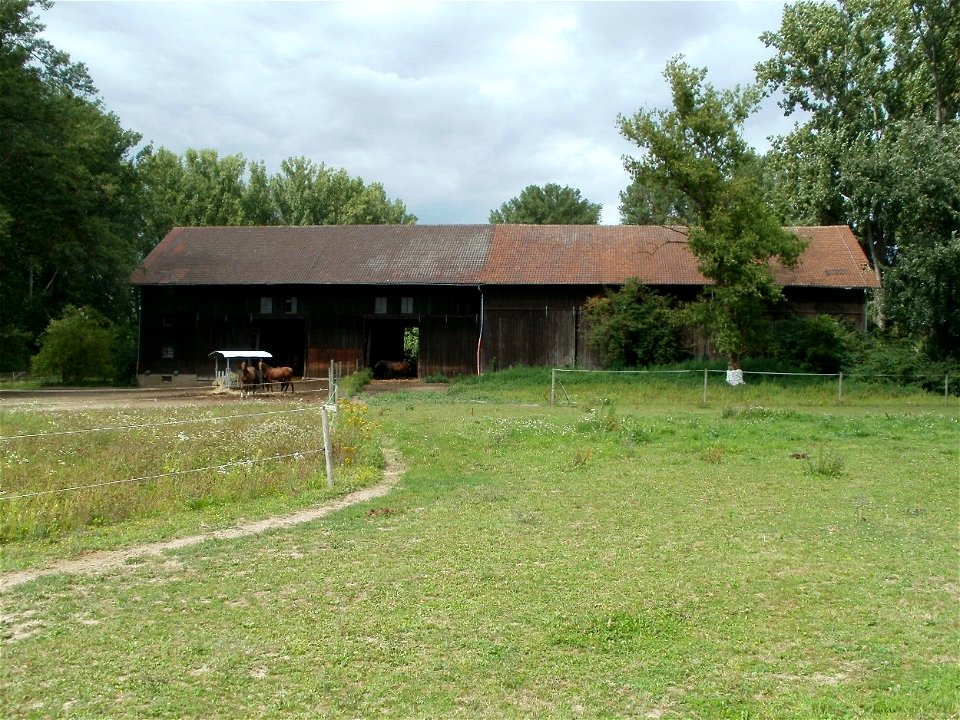 20110813Kollerinsel1