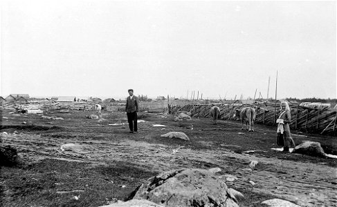 NNikulyasy1911