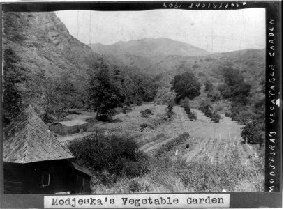 Modjeska's vegetable garden LCCN90707244 photo