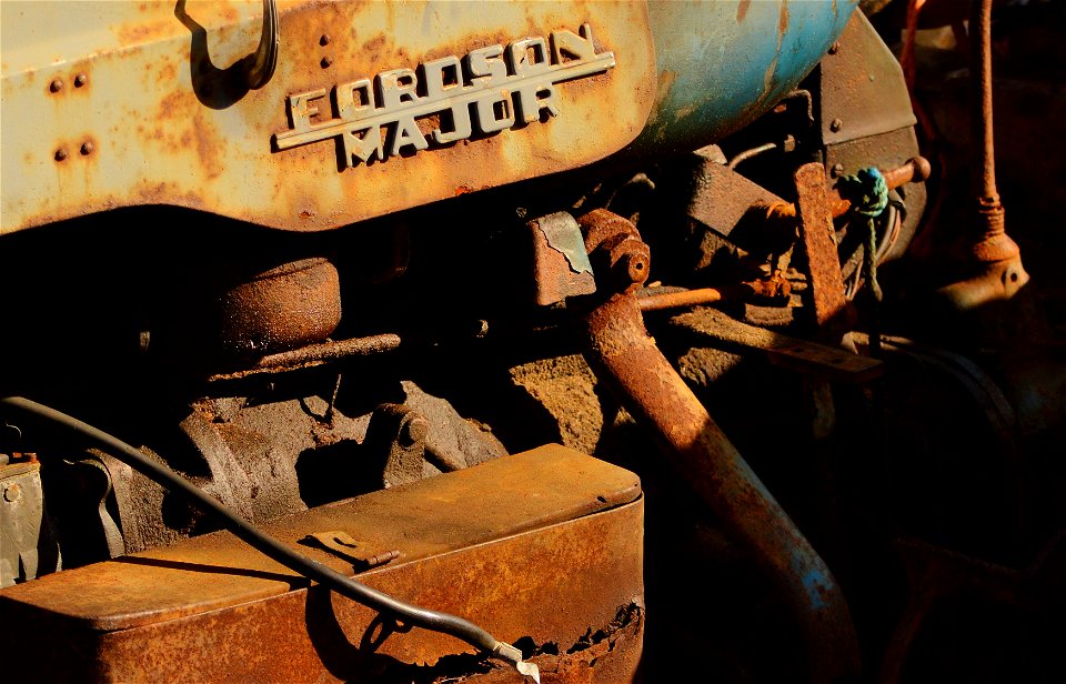 FORD (17225406731)