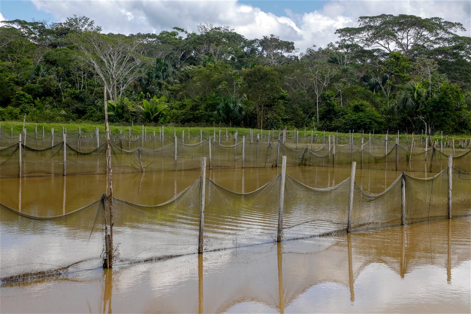 PRODUCE Proyecto de modernización del DPA “La Punchana” en Iquitos se iniciará el próximo año (44177826072)