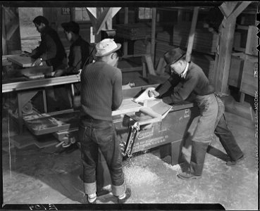 Heart Mountain Relocation Center, Heart Mountain, Wyoming. Evacuee workers operate a wood shaper in . . . - NARA - 538767 photo