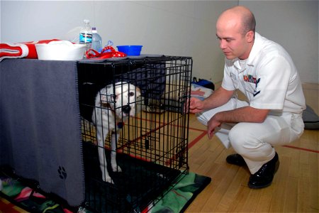 US Navy 071024-N-5086M-001 Culinary Specialist 3rd Class Noah Rose, attached to the Naval Medical Center San Diego, conducts a routine check on a dog which is one of several animals held in a makeshift kennel during the San Die