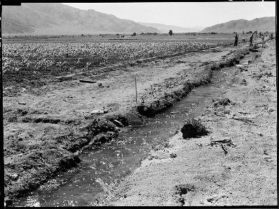 Manzanar Relocation Center, Manzanar, California. Looking south from this War Relocation Authority . . . - NARA - 538041 photo