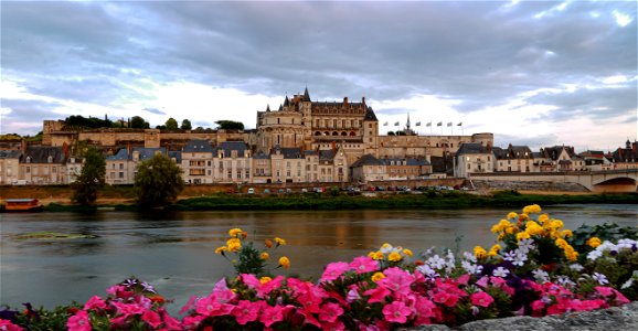 Chateau d'Amboise (48327700801)