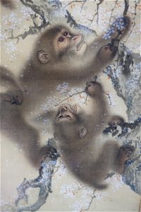 Monkeys in a Blossoming Cherry Tree, 2 of 2, Mori Sosen, Japan, Edo period, early 1800s, ink and color on silk - Arthur M. Sackler Museum, Harvard University - DSC01128
