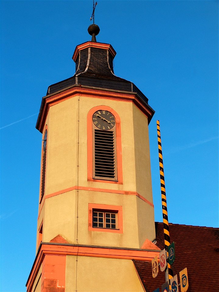 20110117Altlussheim