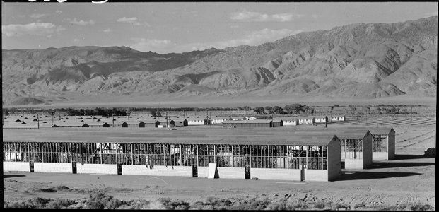 Manzanar Relocation Center, Manzanar, California. Making camouflage nets for the War Department. T . . . - NARA - 538099