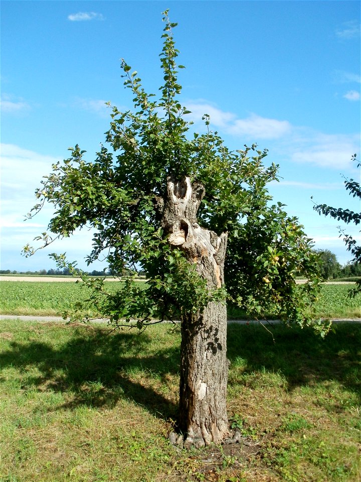 20110718Hockenheim17