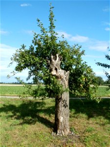 20110718Hockenheim17