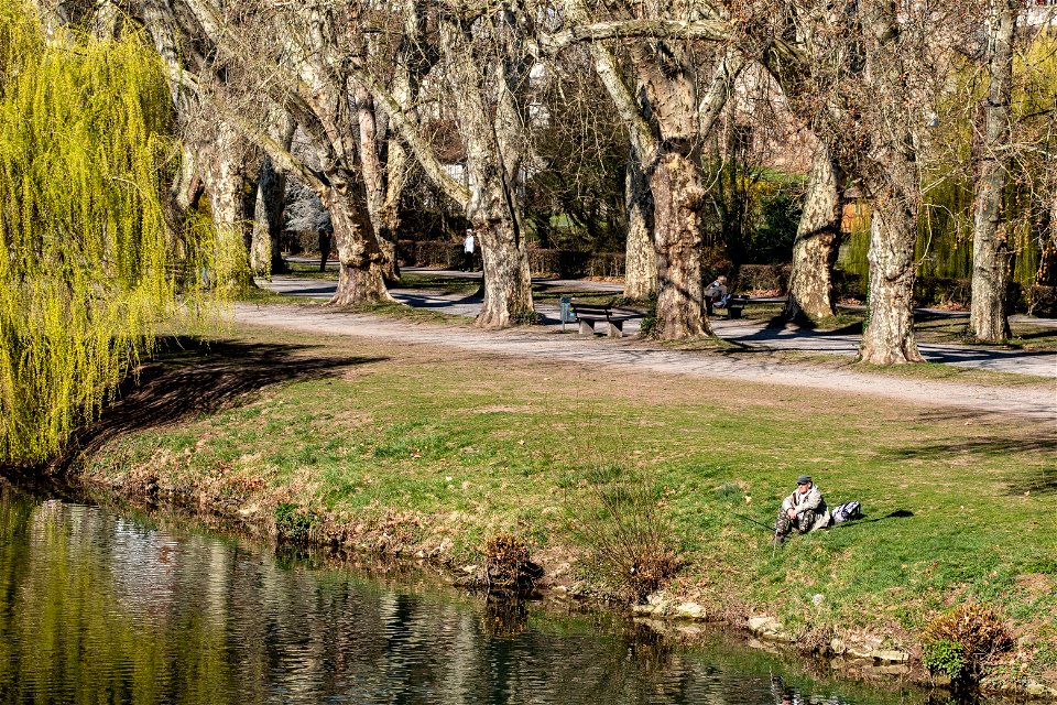 Angler auf der Neckarinsel in Tübingen 2019
