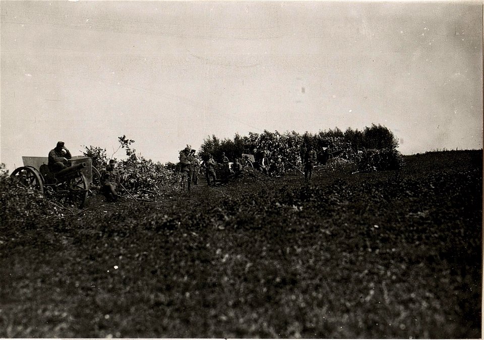 Maskierte 8 cm Feldkanonenbatterie (BildID 15719869)