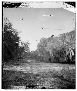 Hilton head Island, South Carolina. Mud creek LOC cwpb.03271 photo