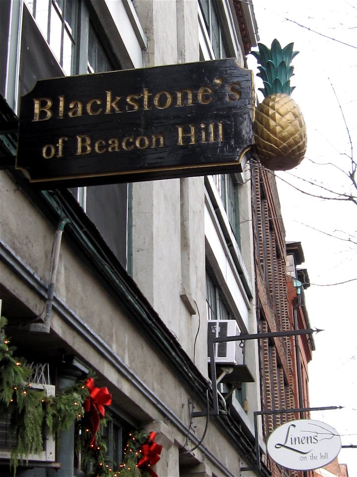 2010_CharlesSt_Boston_1211