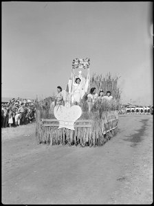 Tule Lake Relocation Center, Newell, California. A parade was held by evacuees to celebrate labor d . . . - NARA - 538422 photo