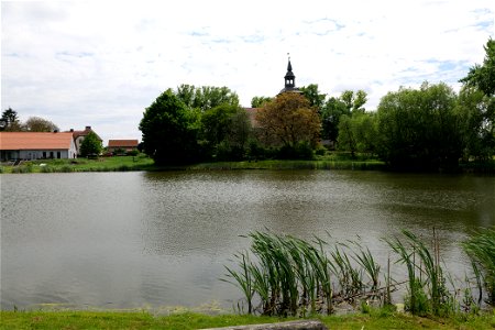 Pond Hardenbeck 2021-05-29 03 photo