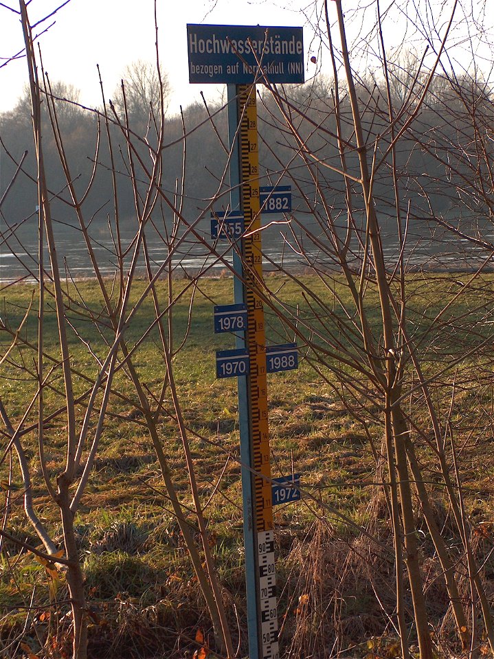 20110117Hochwassermarke_Altlussheim