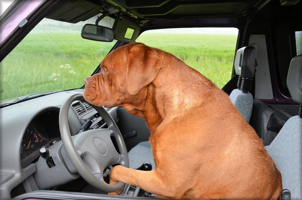 Car driving steering