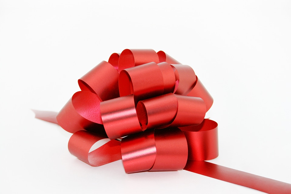 Red bow with border