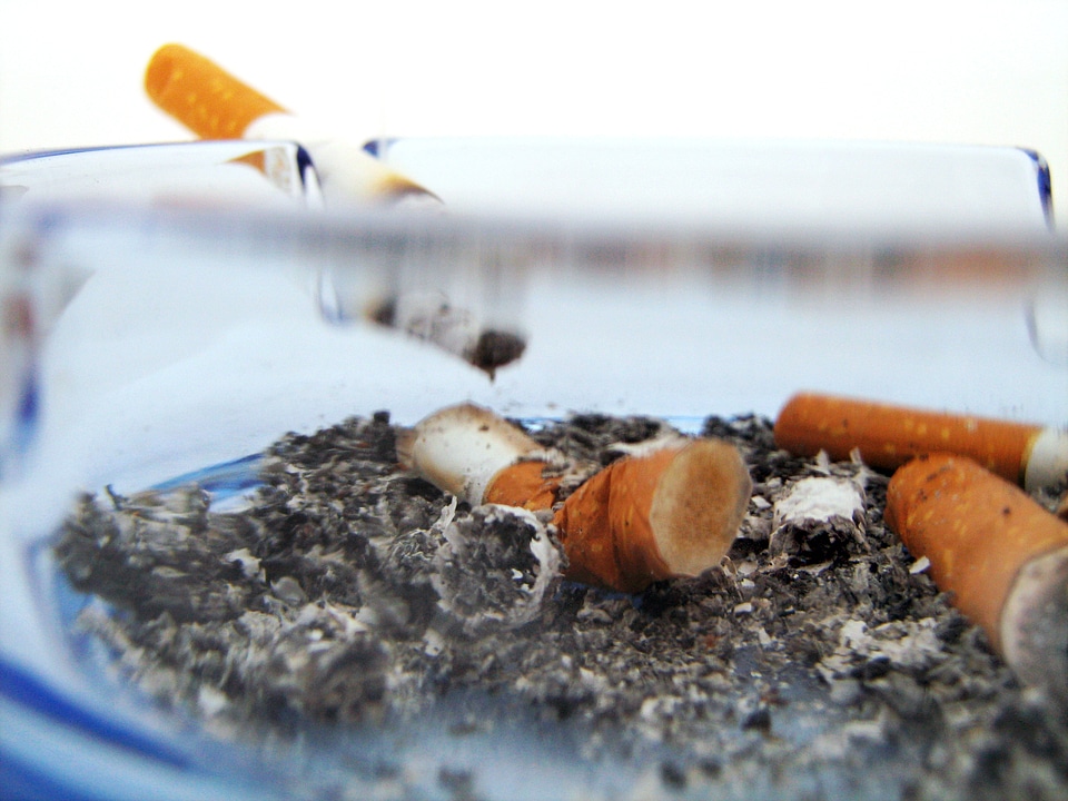 Cigarettes in ashtray