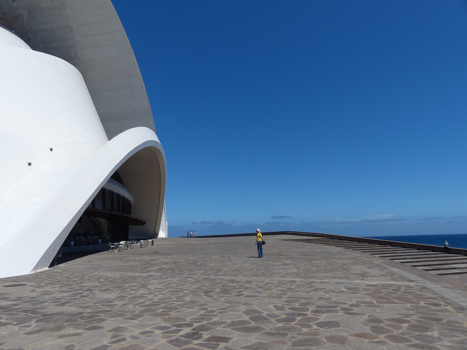 Huge imposing visitor