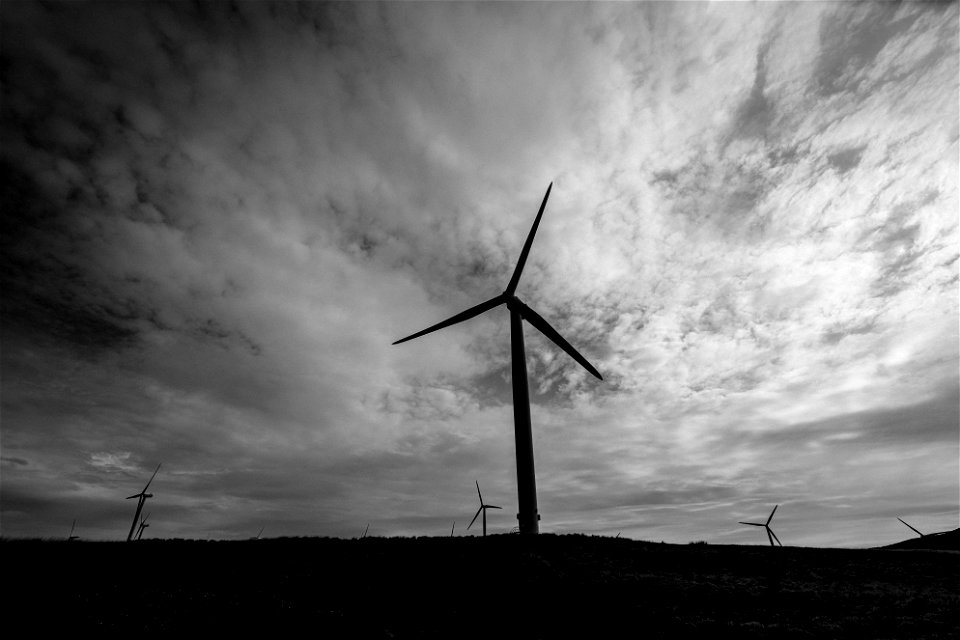 Wind Mill photo