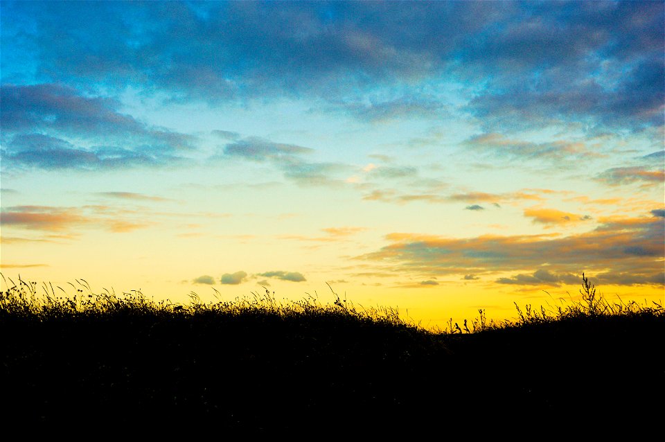 Free stock photo of colors, grass, sky