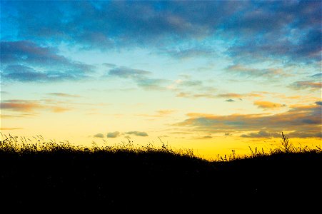 Free stock photo of colors, grass, sky