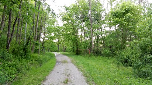 Oldtown Creek Preserve