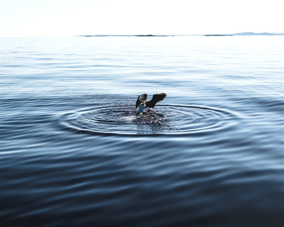 Body Of Water Photography