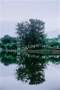 Green Trees Beside The River Under Cloudy Sky photo