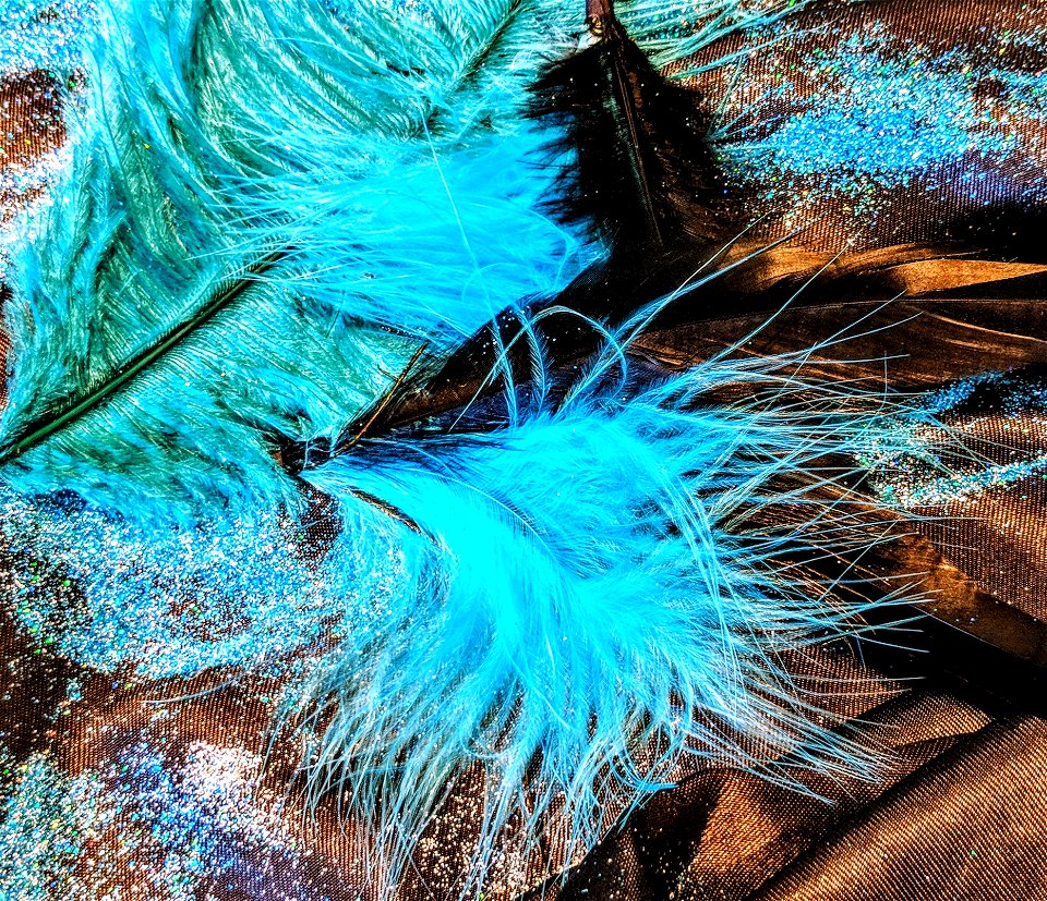 Blue Feather Water Turquoise photo