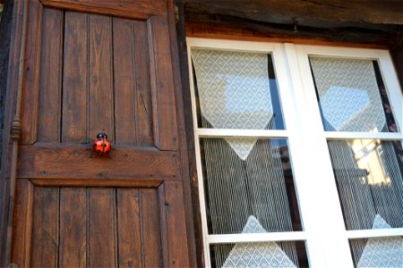 House Window Door Wood photo