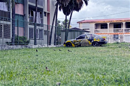 Car Land Vehicle Vehicle Grass photo