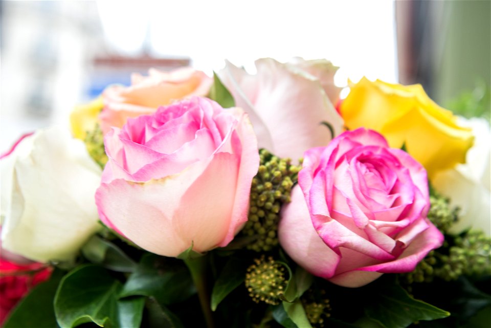 Pink White And Yellow Flowers