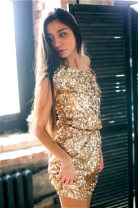 Woman Wearing Brown Sequined Sleeveless Dress photo