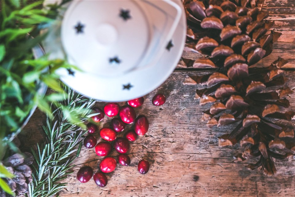 Pine Cone Beside Coffee Bean photo