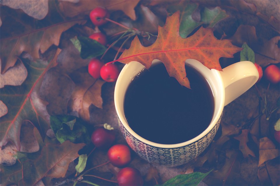 White Ceramic Mug With Brown Leaf