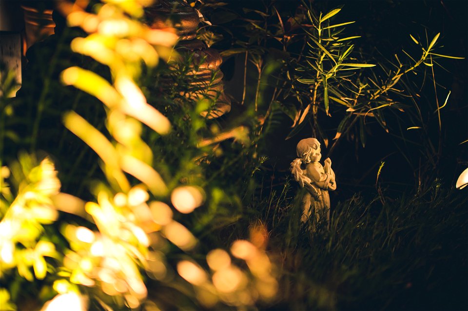 Angel Statue In The Grass