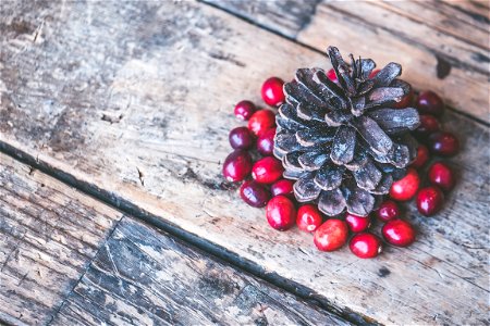 Brown Pine Cone Surrounded By Red Cranberry Photography photo