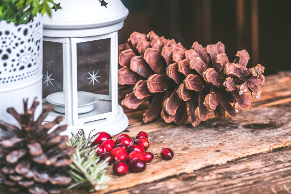 Brown Pinecone Beside Candle Lantern photo