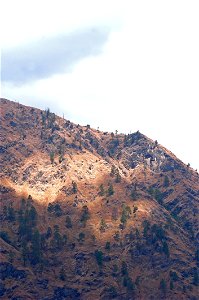 Brown Mountain photo