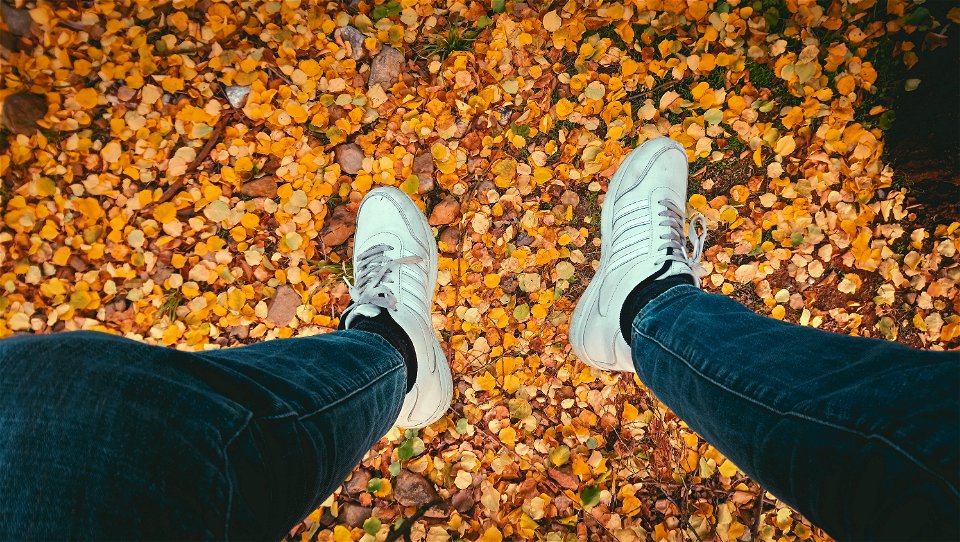 Persons Wearing Blue Jeans And Pair Of White Sneakers photo